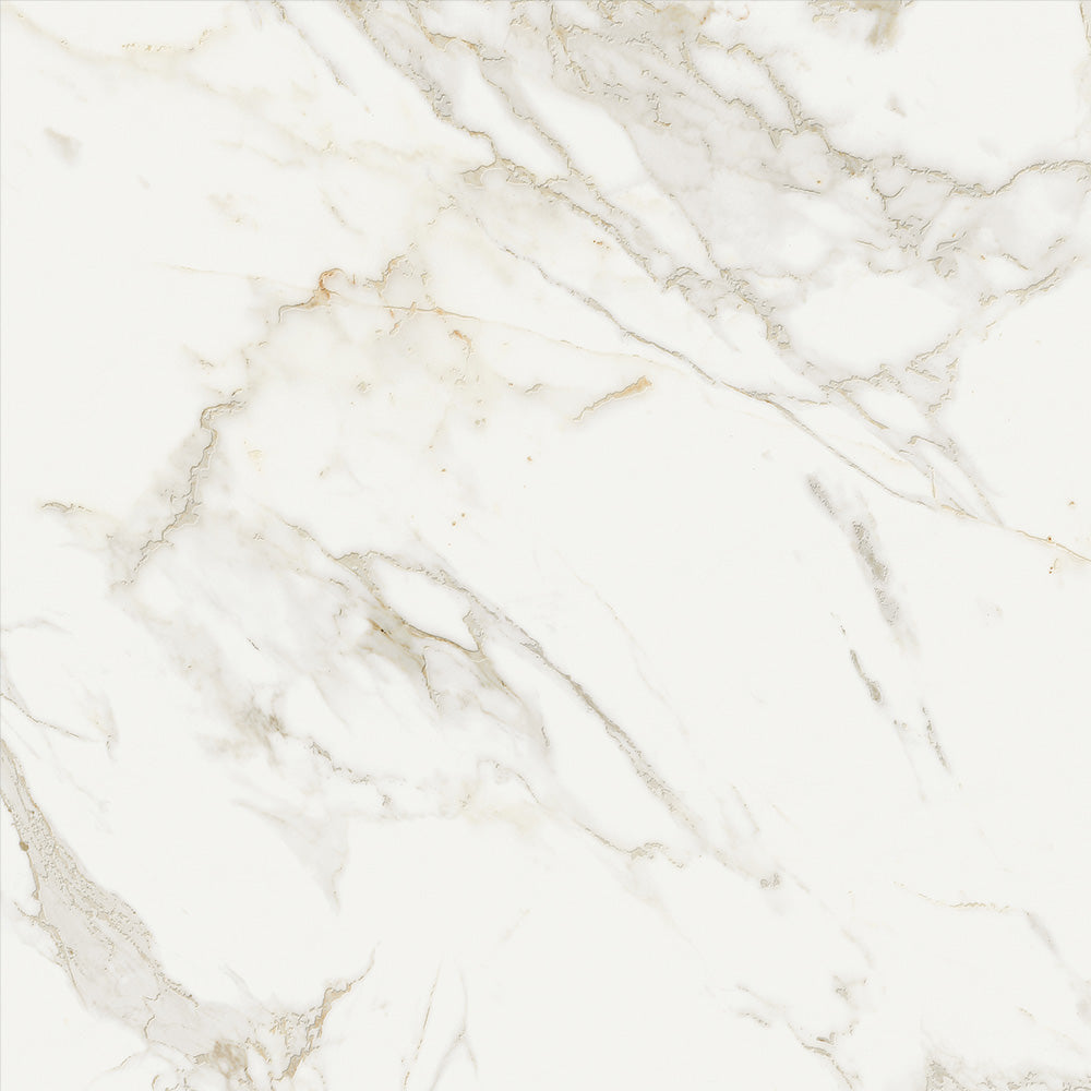 Ageless Matte Porcelain Floor &amp; Wall Tile