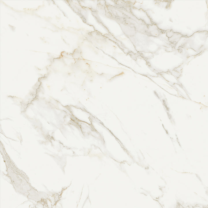 Ageless Matte Porcelain Floor &amp; Wall Tile