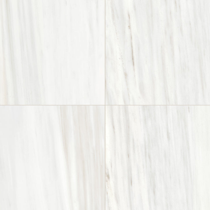 Masterpiece Porcelain Floor &amp; Wall Tile