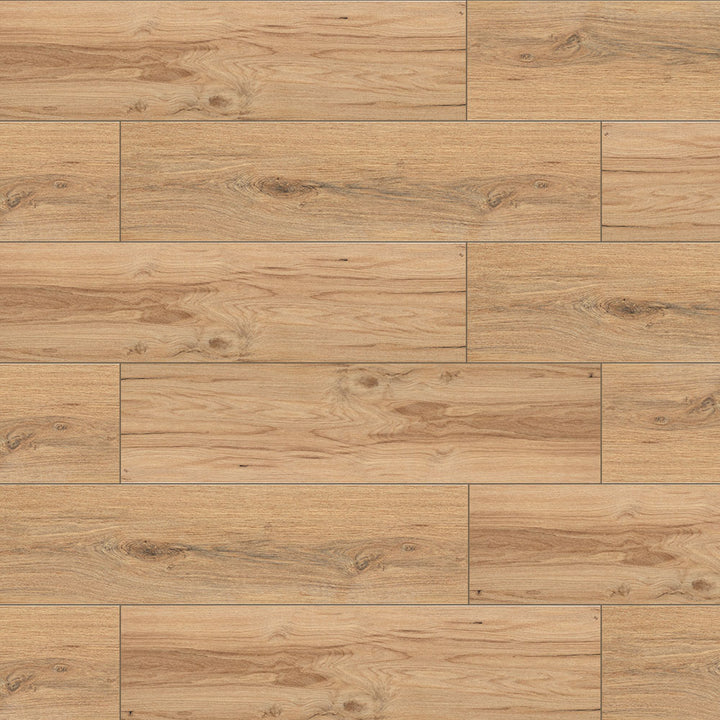 Tradition Matte Porcelain Floor &amp; Wall Tile | ANVE Kitchen &amp; Bath