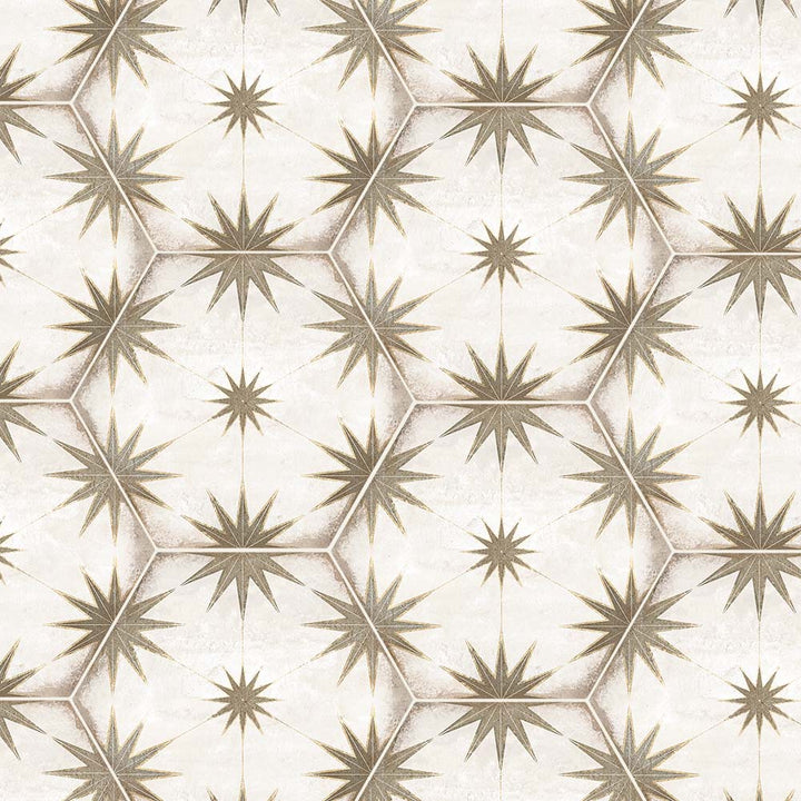 Symmetry Hexagon Matte Porcelain Mosaic Tile