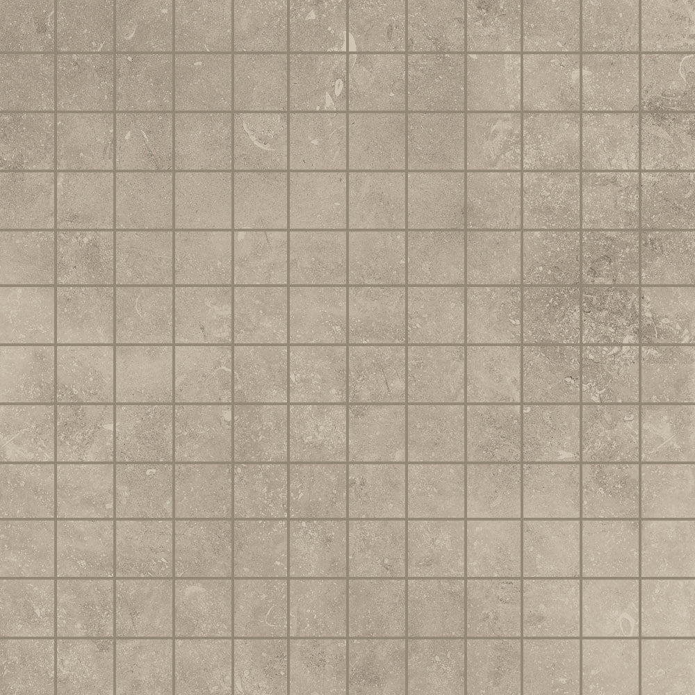 Absolute Matte Porcelain Floor &amp; Wall Tile
