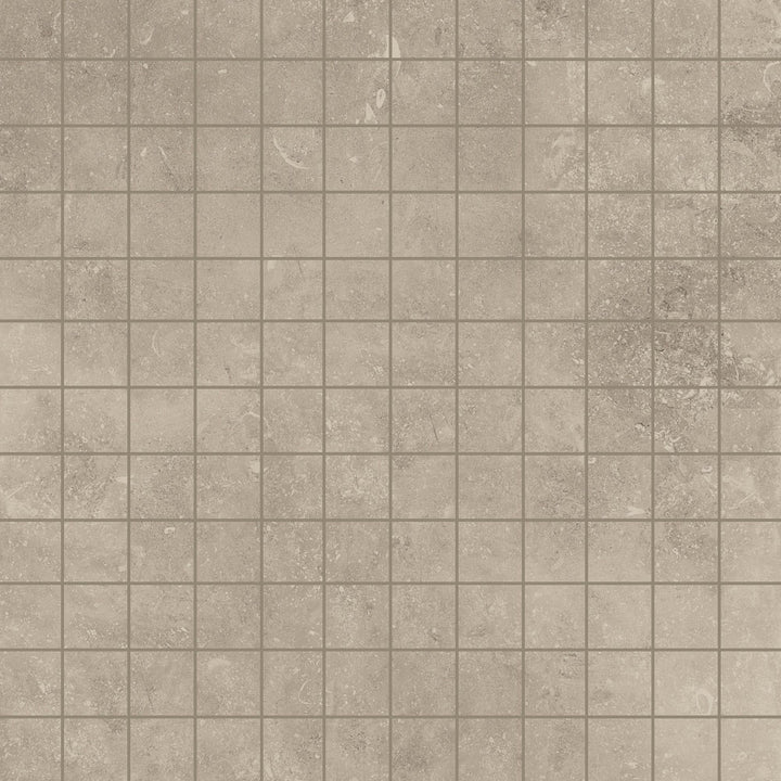 Absolute Matte Porcelain Floor &amp; Wall Tile