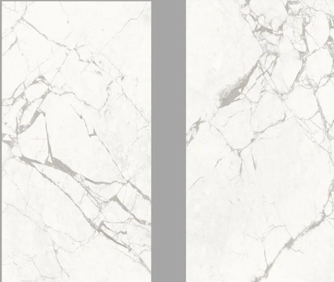 Two Bianco Carrara Porcelain Tiles with distinctive gray veining are displayed side by side, separated by a vertical gray strip. Each tile showcases unique natural vein patterns.