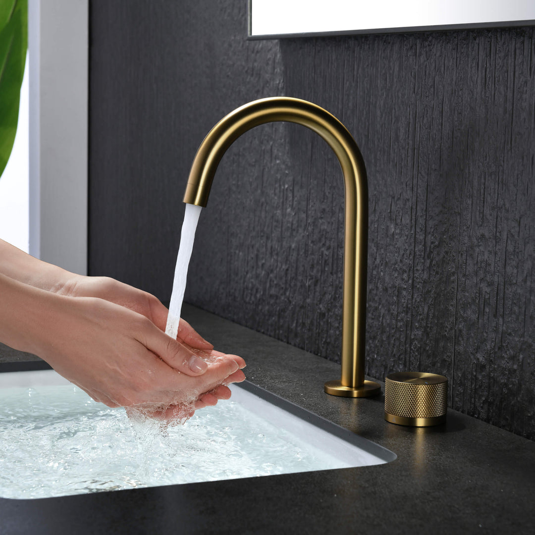 Verona Single-Handle 2-Hole Bathroom Faucet with Drain Assembly