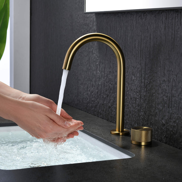 Verona Single-Handle 2-Hole Bathroom Faucet with Drain Assembly