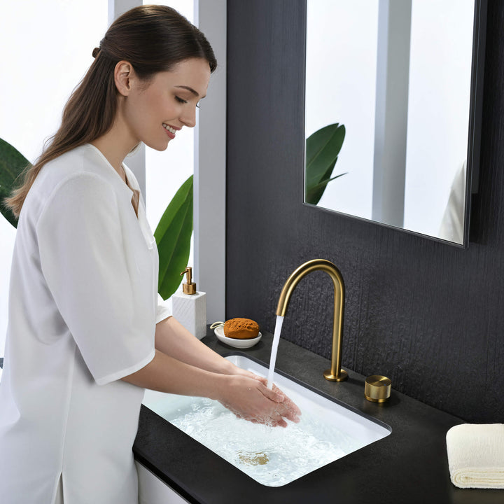 Verona Single-Handle 2-Hole Bathroom Faucet with Drain Assembly