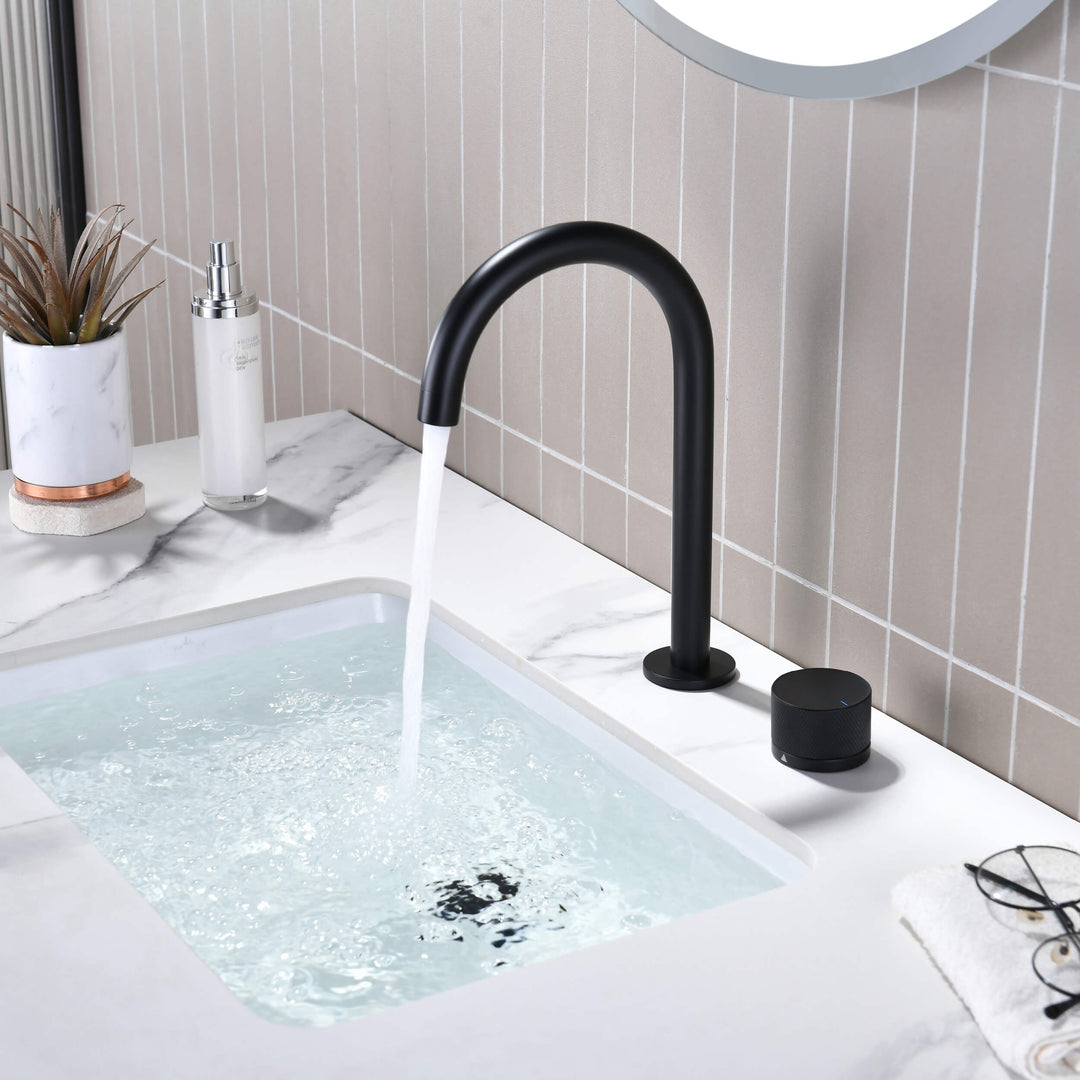 Verona Single-Handle 2-Hole Bathroom Faucet with Drain Assembly