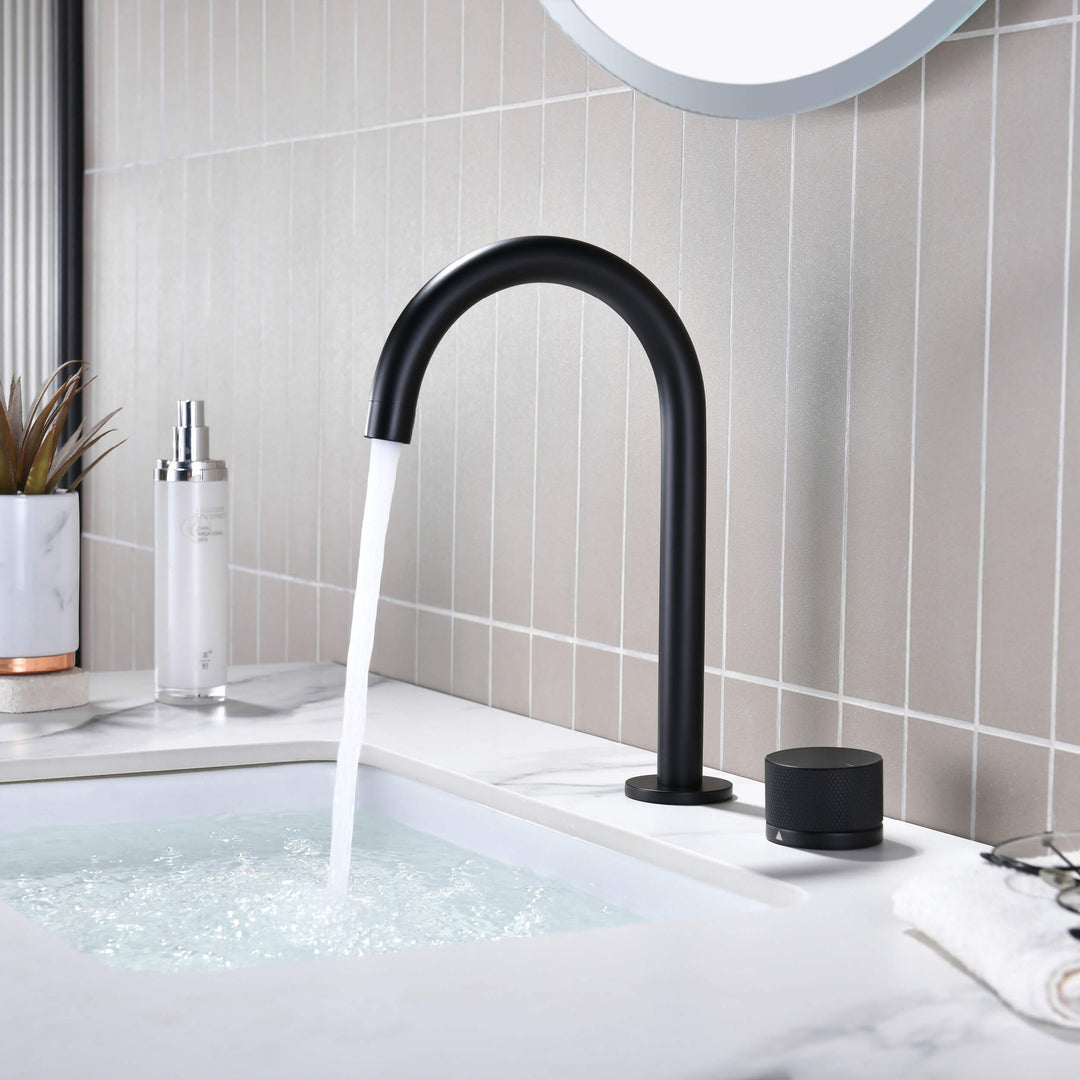 Verona Single-Handle 2-Hole Bathroom Faucet with Drain Assembly