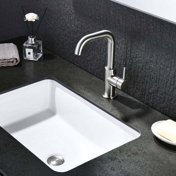Tampa Single-Handle Single-Hole High-Arc Bathroom Faucet