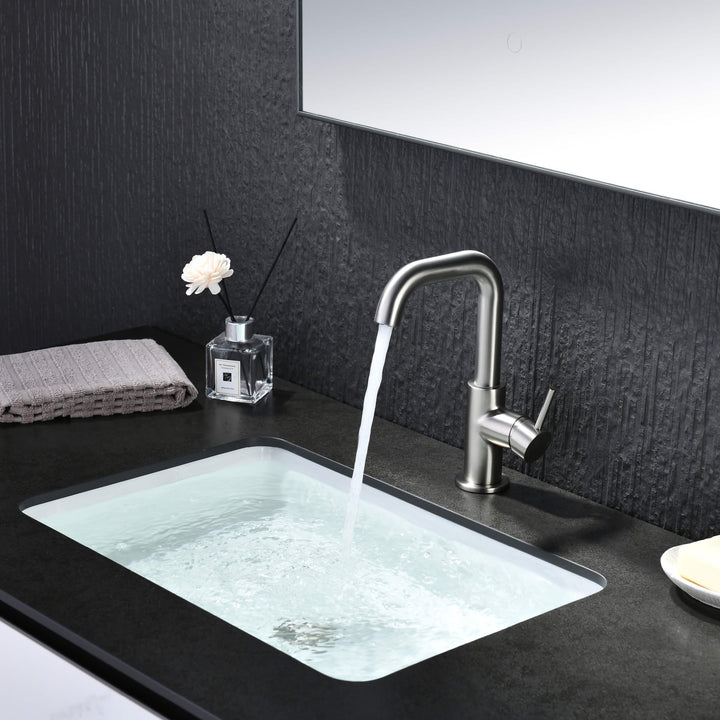 Tampa Single-Handle Single-Hole High-Arc Bathroom Faucet
