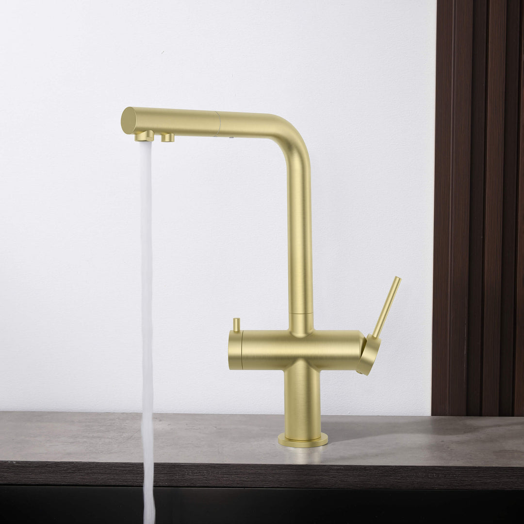 Halo 2-in-1 Pull-Out Kitchen Filtration Faucet