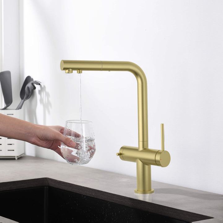 Halo 2-in-1 Pull-Out Kitchen Filtration Faucet