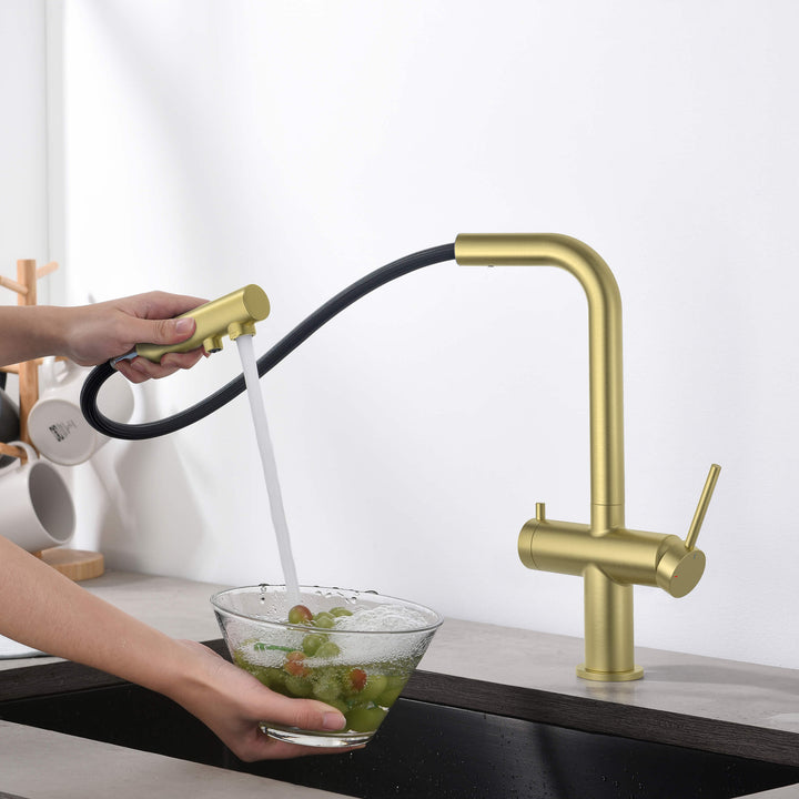 Halo 2-in-1 Pull-Out Kitchen Filtration Faucet