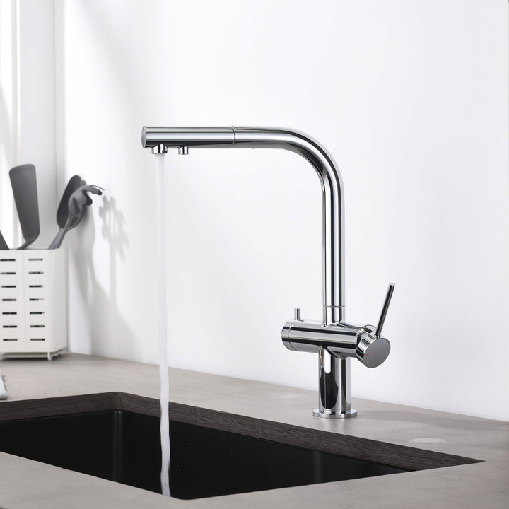 Halo 2-in-1 Pull-Out Kitchen Filtration Faucet