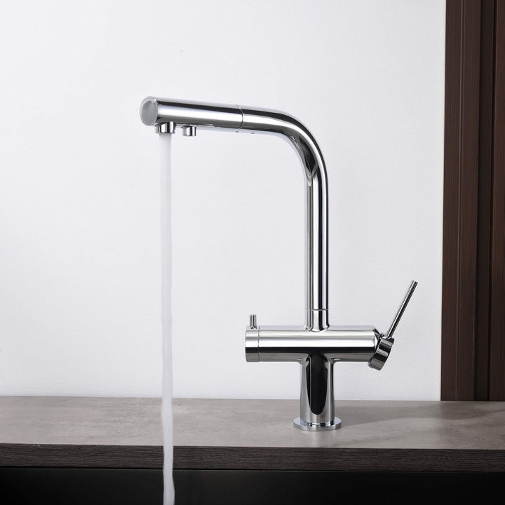 Halo 2-in-1 Pull-Out Kitchen Filtration Faucet