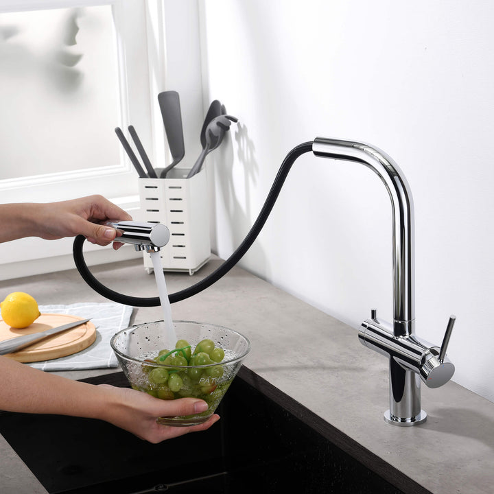 Halo 2-in-1 Pull-Out Kitchen Filtration Faucet