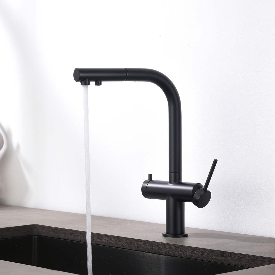 Halo 2-in-1 Pull-Out Kitchen Filtration Faucet
