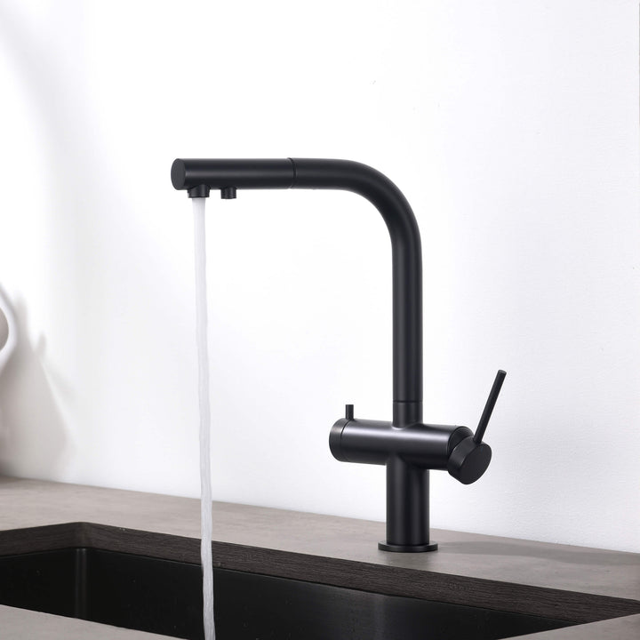 Halo 2-in-1 Pull-Out Kitchen Filtration Faucet