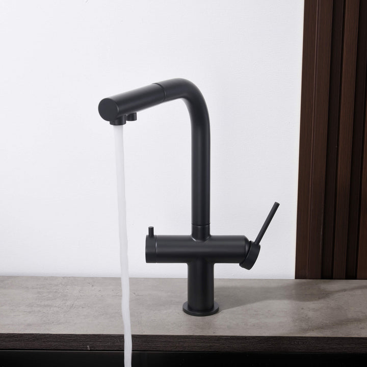 Halo 2-in-1 Pull-Out Kitchen Filtration Faucet