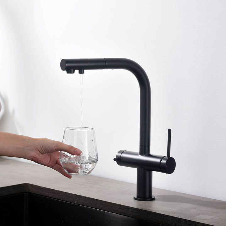 Halo 2-in-1 Pull-Out Kitchen Filtration Faucet