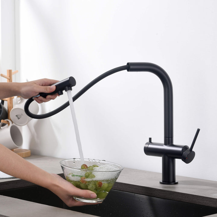 Halo 2-in-1 Pull-Out Kitchen Filtration Faucet