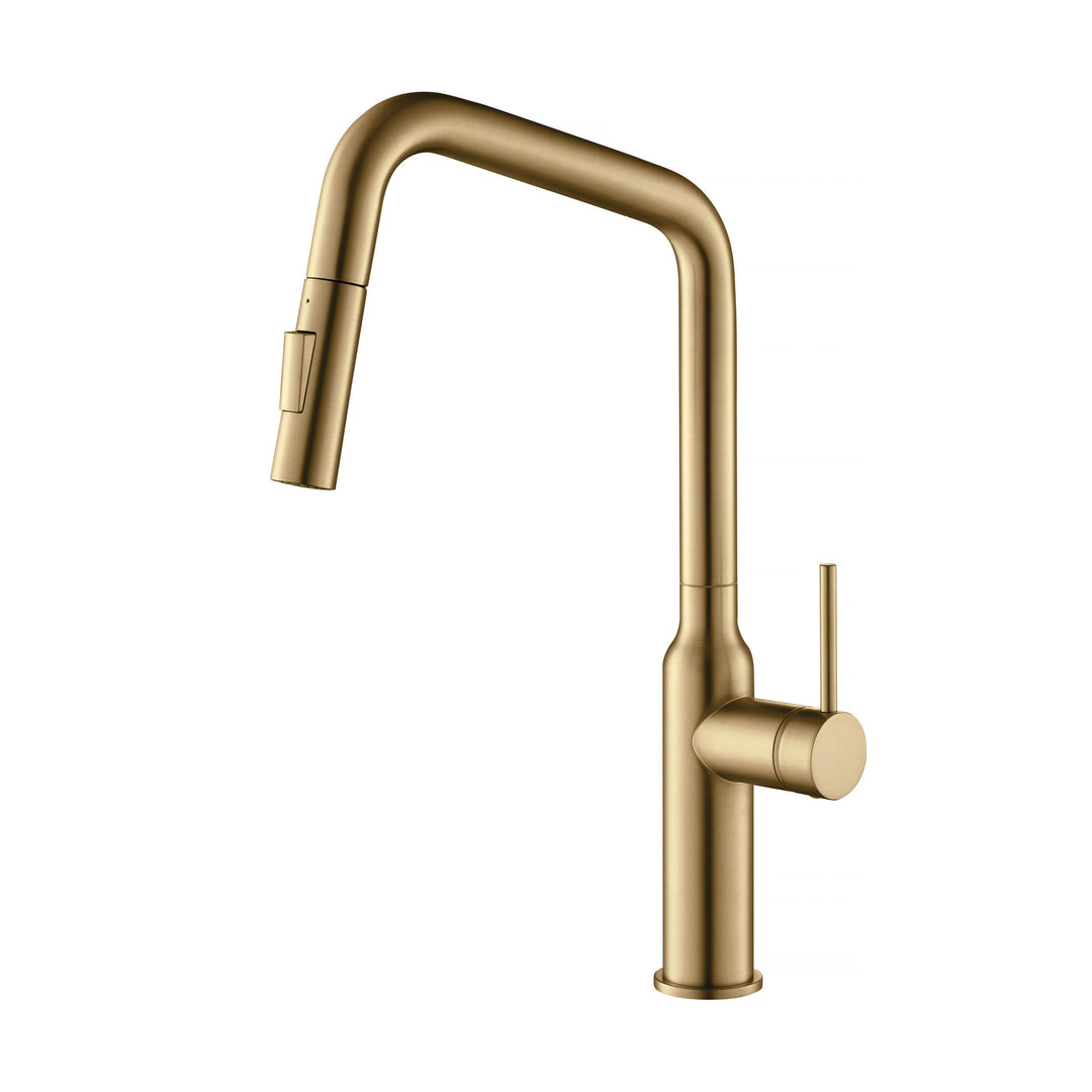 Tampa Single-Handle Pull-Down Kitchen Faucet