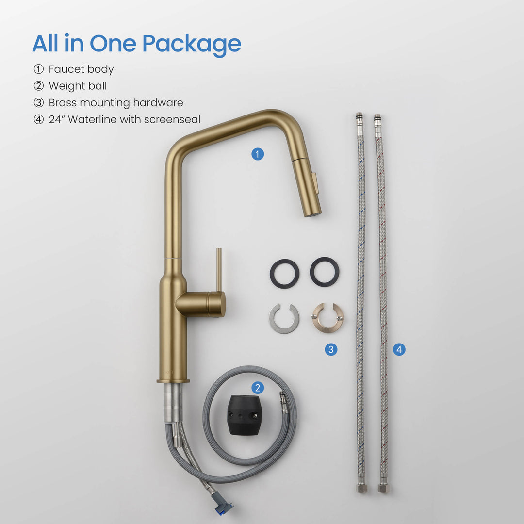 Tampa Single-Handle Pull-Down Kitchen Faucet
