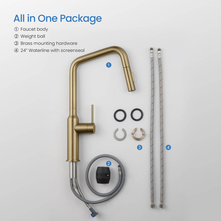 Tampa Single-Handle Pull-Down Kitchen Faucet