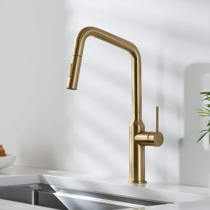 Tampa Single-Handle Pull-Down Kitchen Faucet