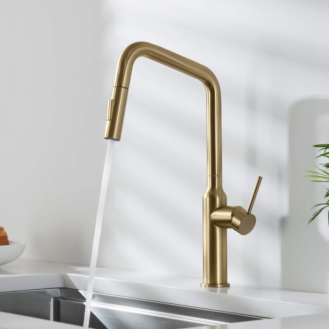 Tampa Single-Handle Pull-Down Kitchen Faucet