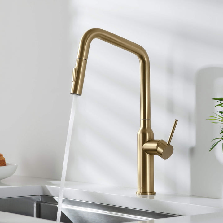 Tampa Single-Handle Pull-Down Kitchen Faucet