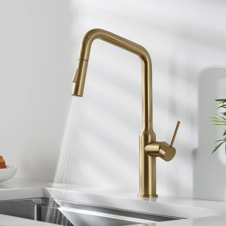 Tampa Single-Handle Pull-Down Kitchen Faucet