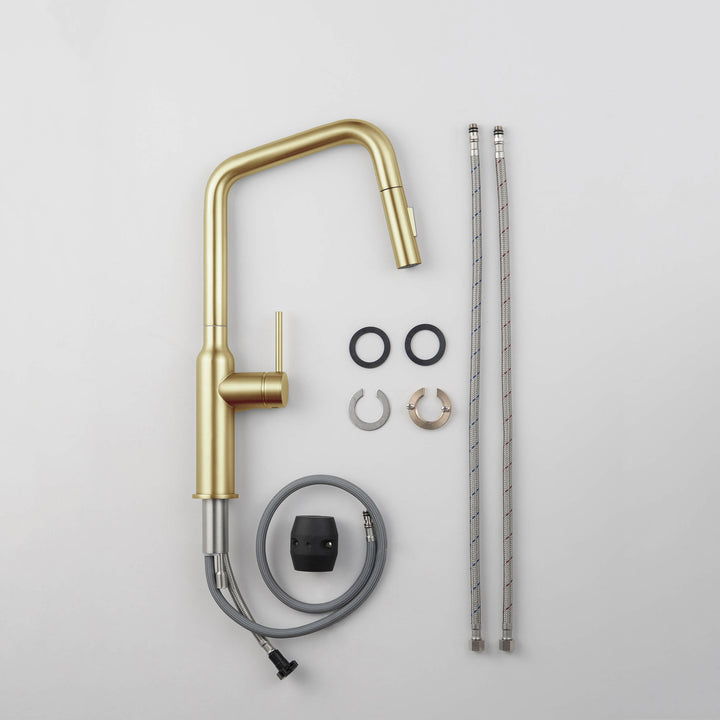 Tampa Single-Handle Pull-Down Kitchen Faucet