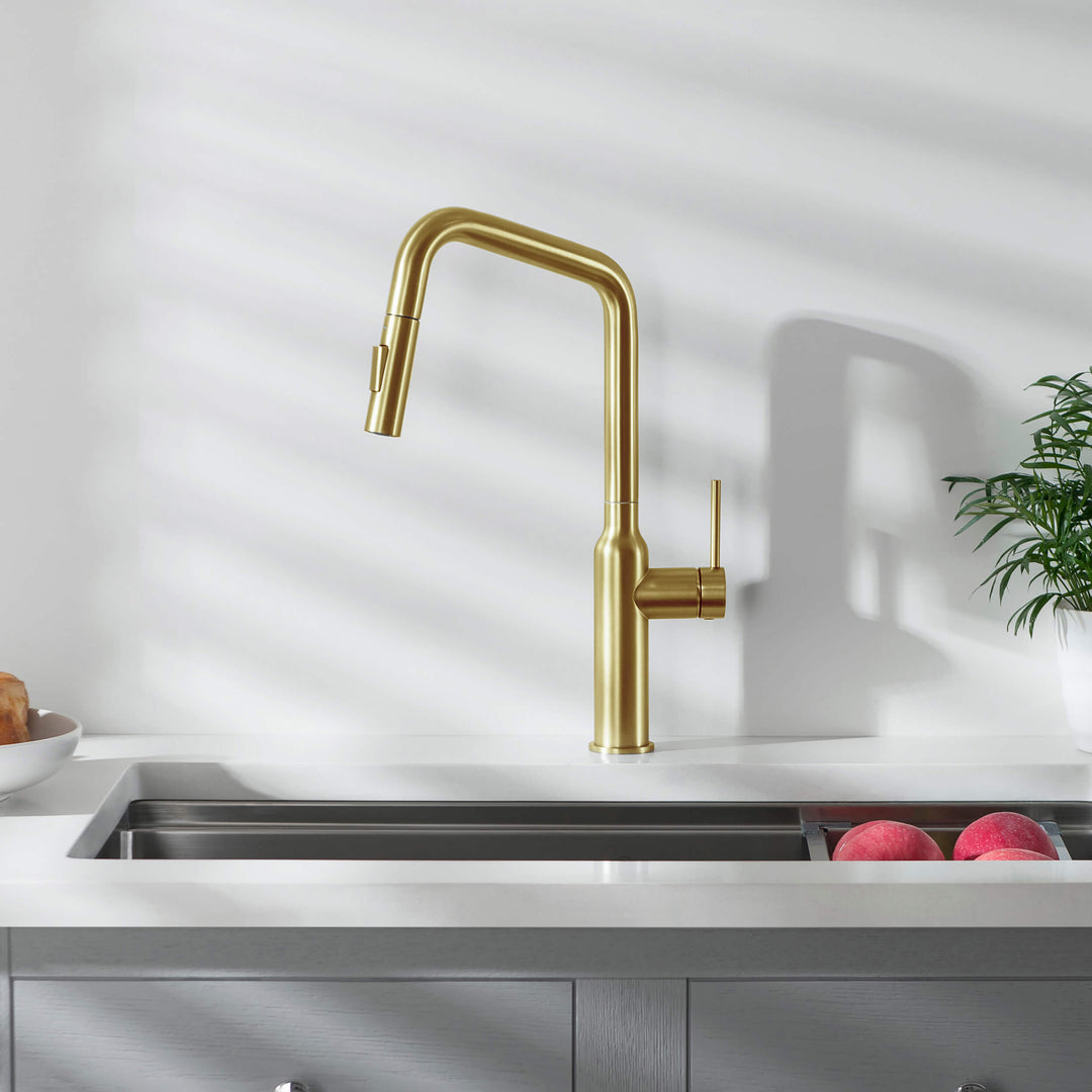 Tampa Single-Handle Pull-Down Kitchen Faucet