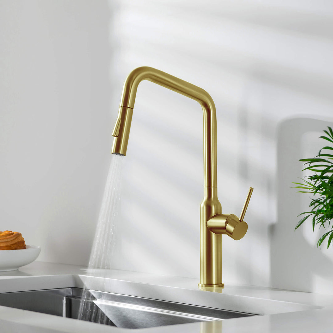 Tampa Single-Handle Pull-Down Kitchen Faucet