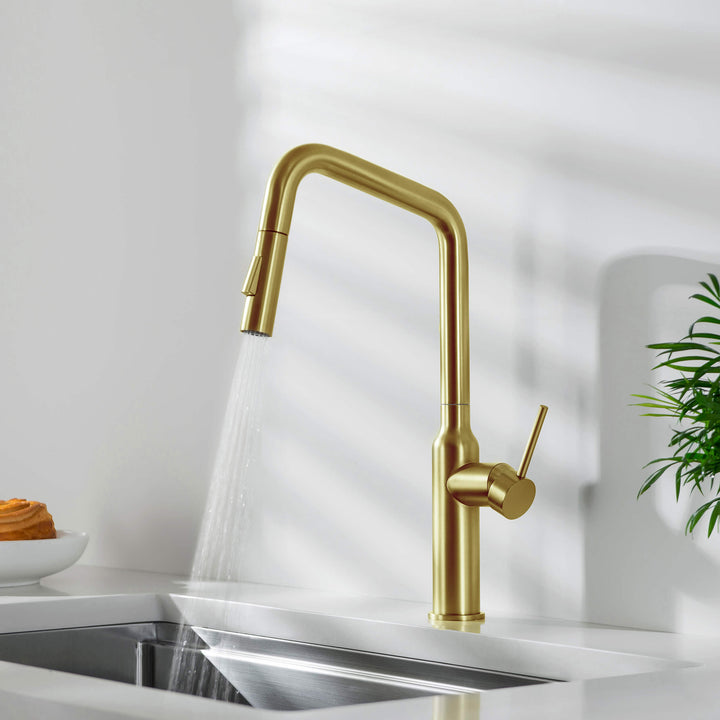 Tampa Single-Handle Pull-Down Kitchen Faucet