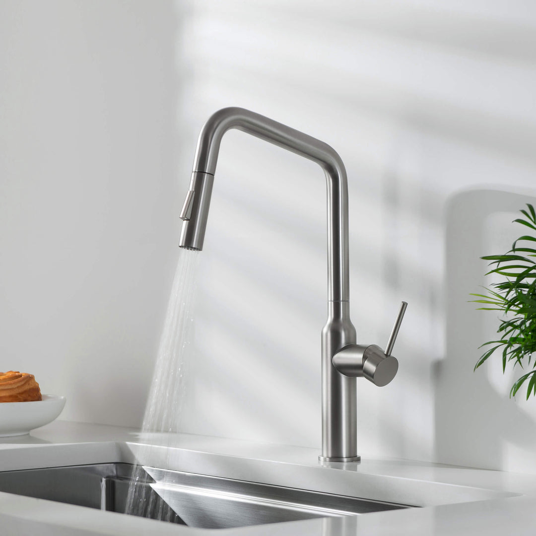 Tampa Single-Handle Pull-Down Kitchen Faucet