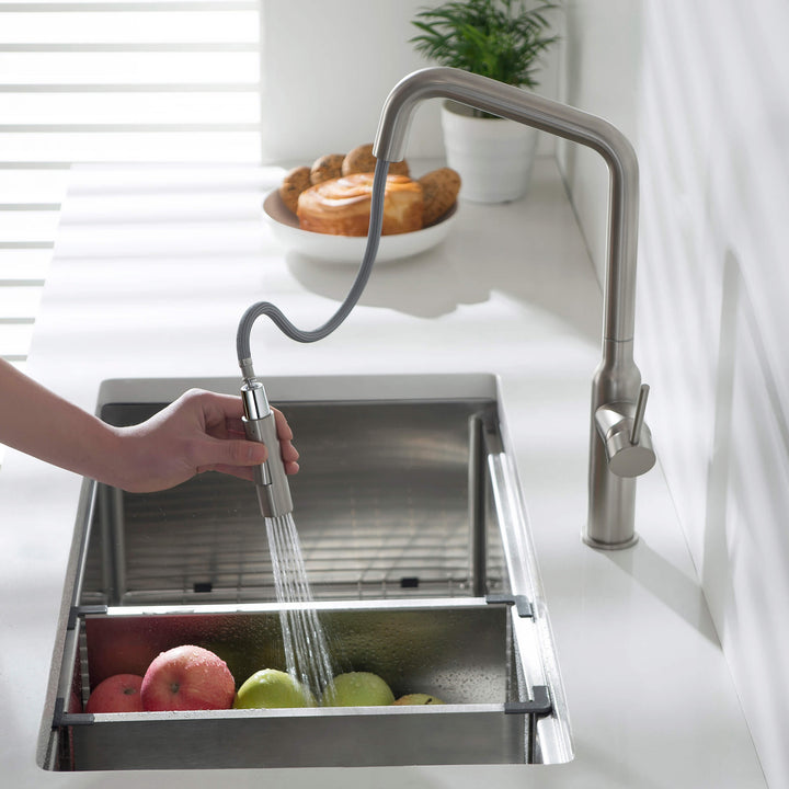 Tampa Single-Handle Pull-Down Kitchen Faucet