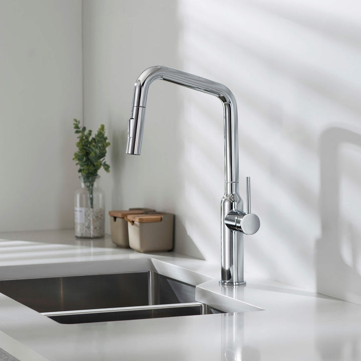 Tampa Single-Handle Pull-Down Kitchen Faucet