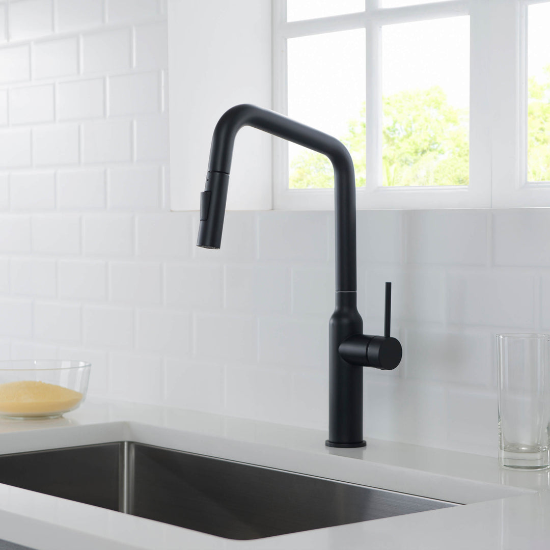 Tampa Single-Handle Pull-Down Kitchen Faucet