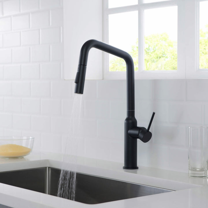 Tampa Single-Handle Pull-Down Kitchen Faucet