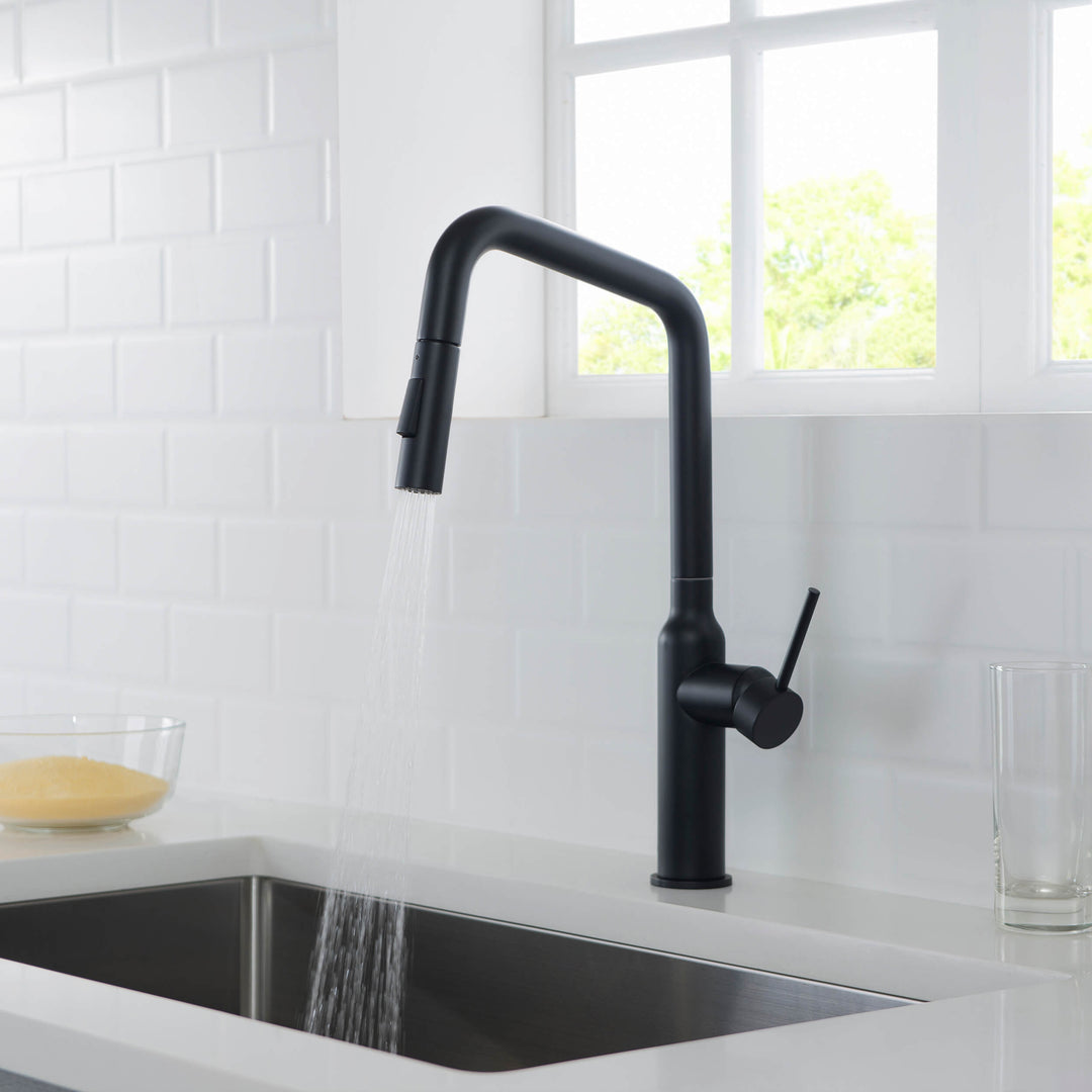Tampa Single-Handle Pull-Down Kitchen Faucet