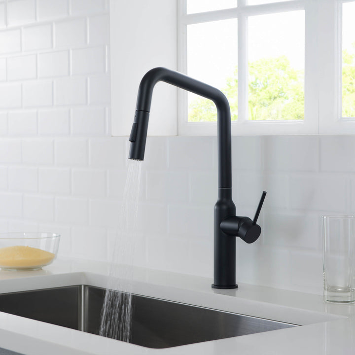 Tampa Single-Handle Pull-Down Kitchen Faucet