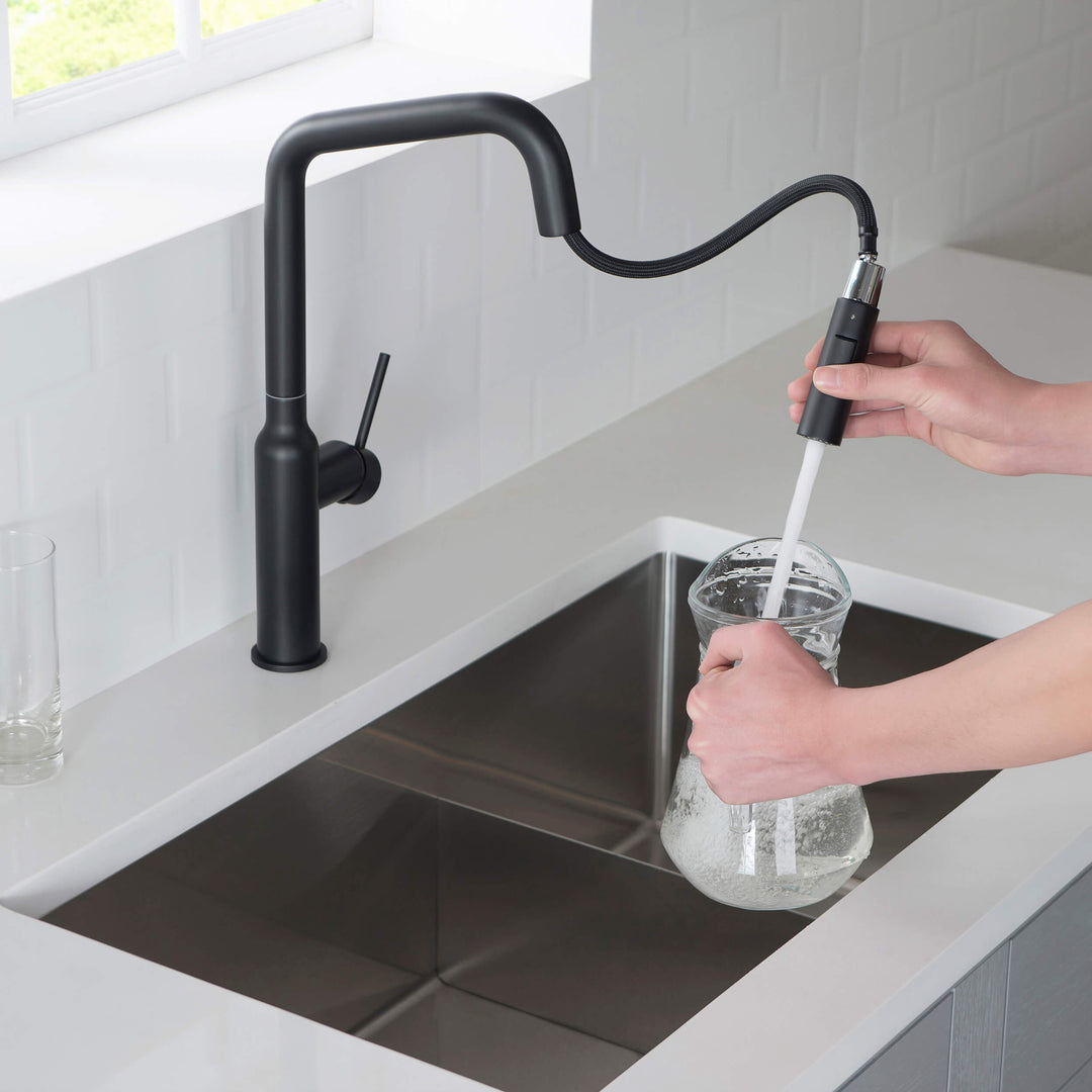 Tampa Single-Handle Pull-Down Kitchen Faucet