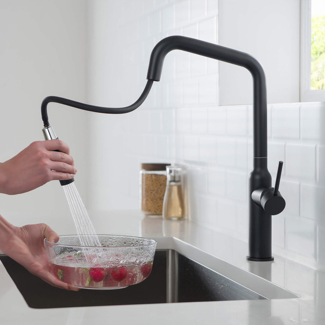 Tampa Single-Handle Pull-Down Kitchen Faucet