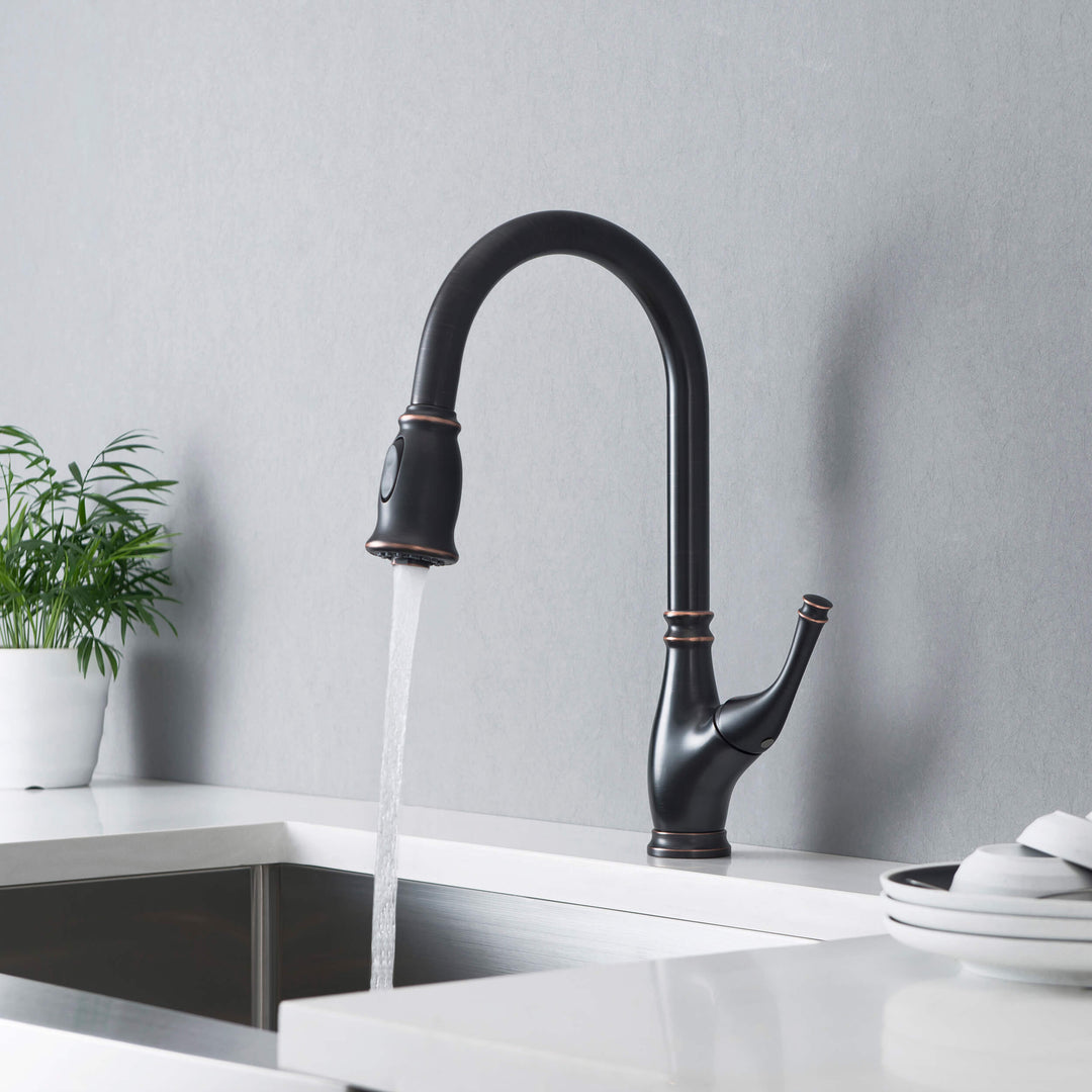 Omaha Single-Handle Pull-Down Kitchen Faucet