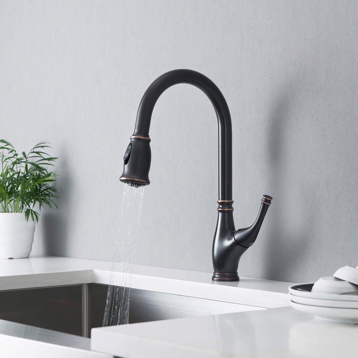 Omaha Single-Handle Pull-Down Kitchen Faucet