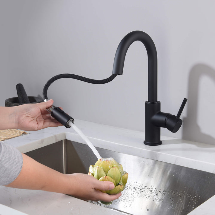 Halo Single-Handle Pull-Down Kitchen &amp; Bar Faucet