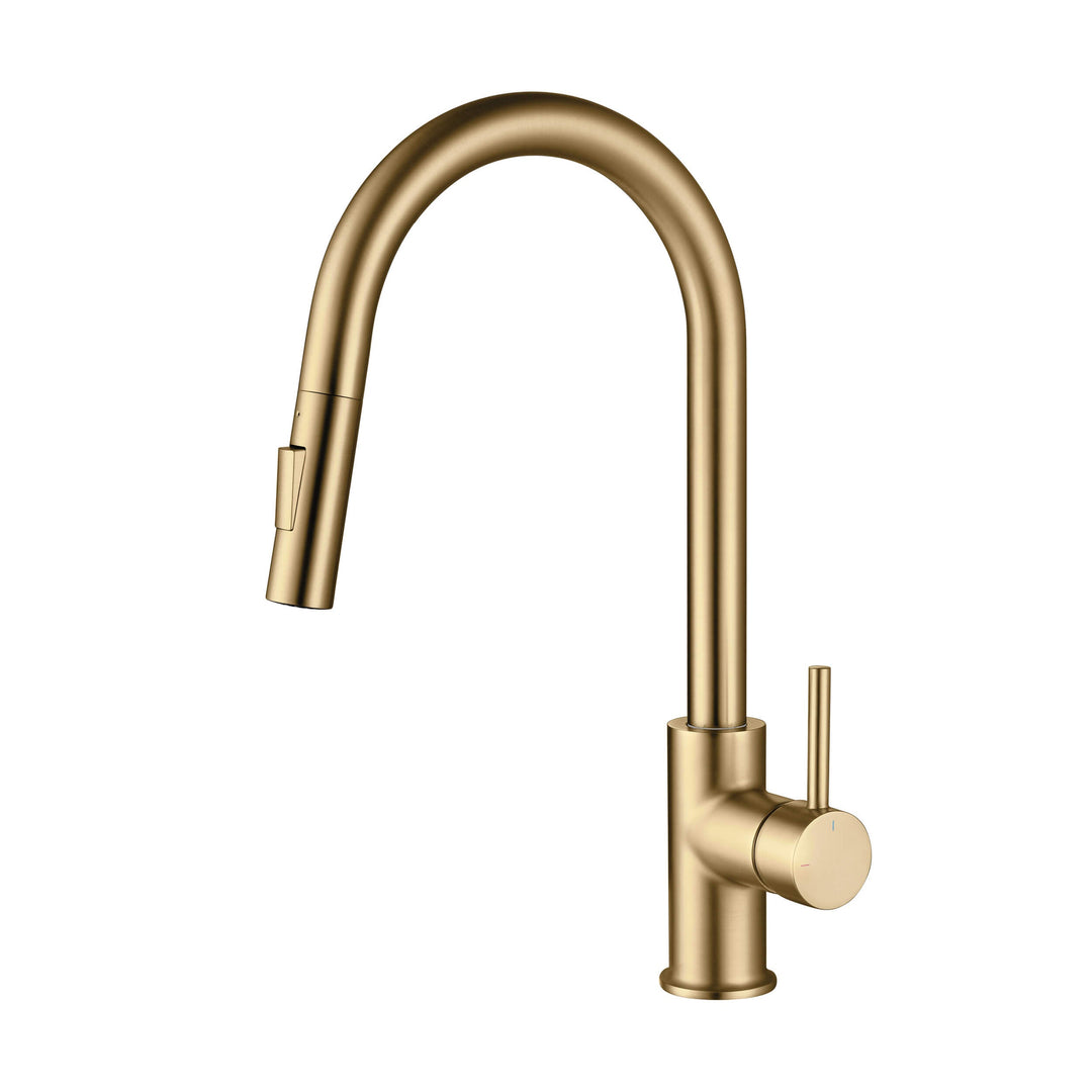 Halo Single-Handle Pull-Down Kitchen Faucet